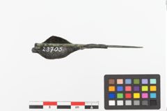Foto von Bronzekahnfibel (NHMW-PRAE-023705)